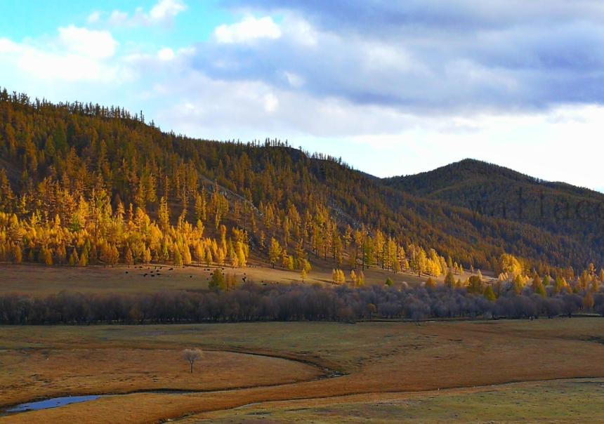 一百元在蒙古能干嘛,100元在蒙古国可以干什么