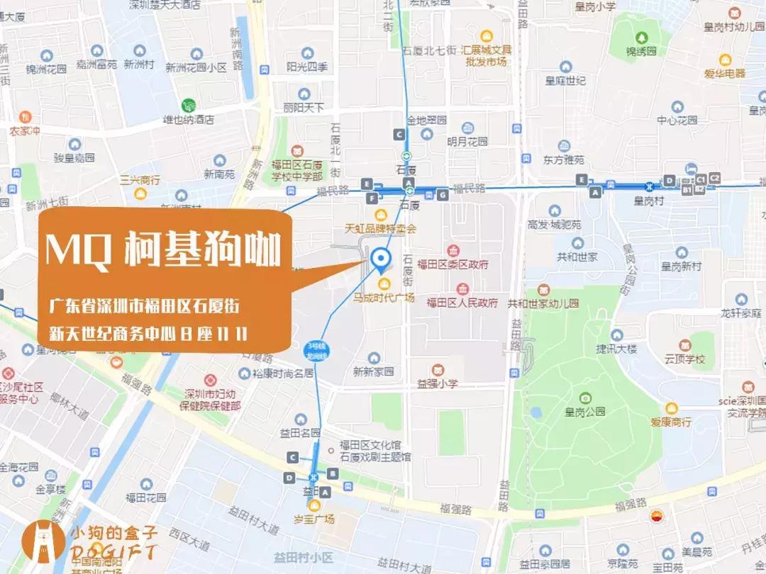 马克深圳最秀狗咖