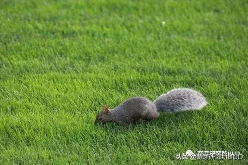 亲子不过夜露营必备物品清单,户外露营小攻略2人