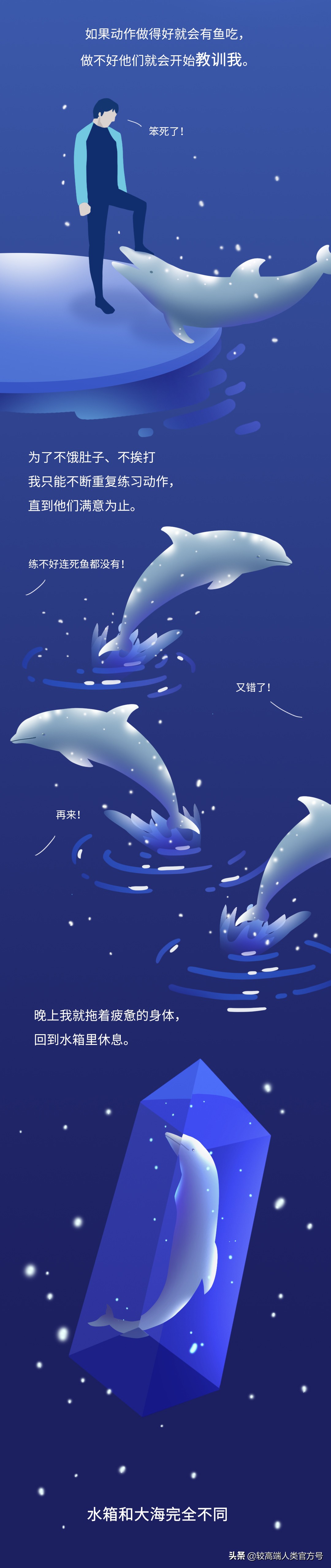 囚禁海豚,海豚表演有多残忍