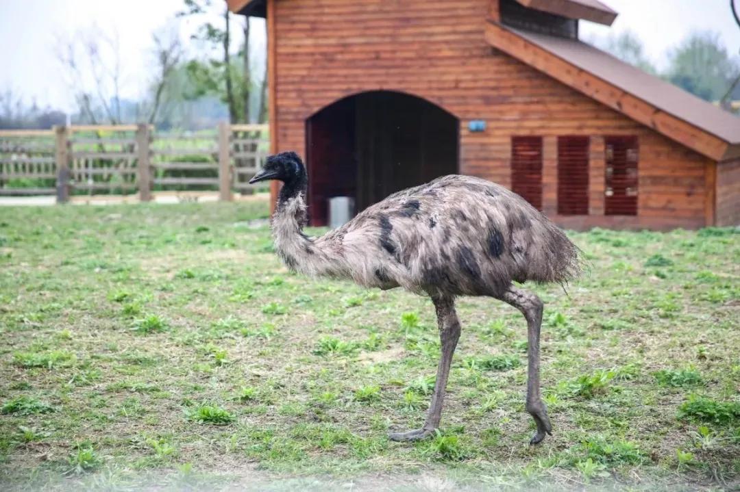 红光新城西安市,红光新城