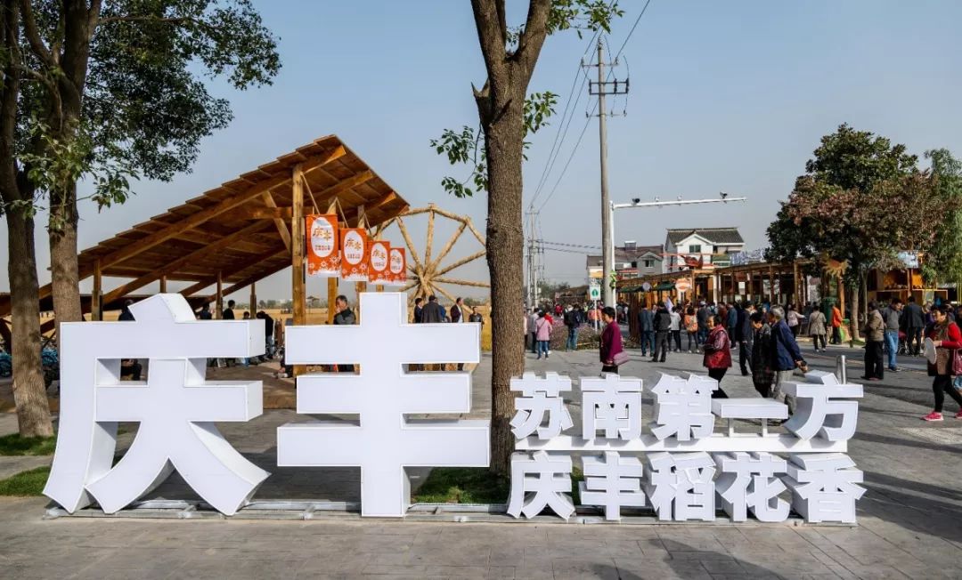 溧阳庆丰村怎么突然火了起来，答案或许就在这里