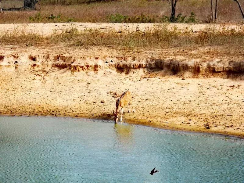 一生必去一次的神奇国度，榴莲白菜价，还有千与千寻里的海上火车