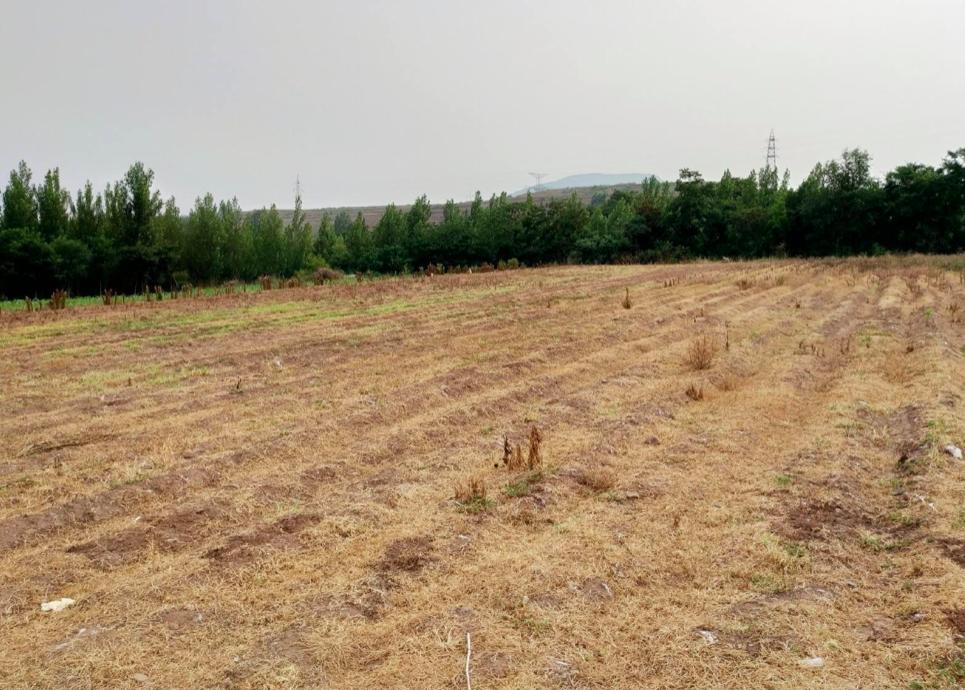 老话讲,“农村不作颠,街上不冒烟”,认识农村的重要性