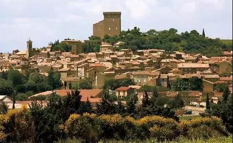 朱卫东：法国葡萄酒AOC等级内涵详解