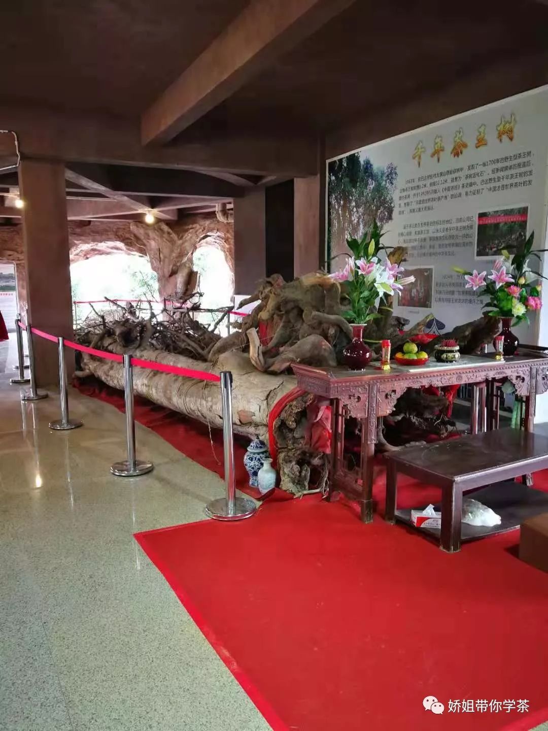 云南游学研学,云南游学长水机场