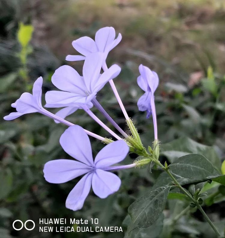 深秋的私语,美文美图经典欣赏