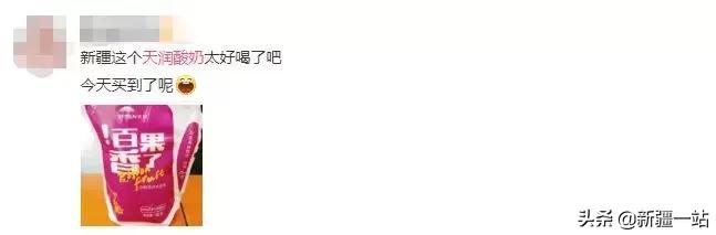 疆新域酸奶,新款新疆伊犁酸奶