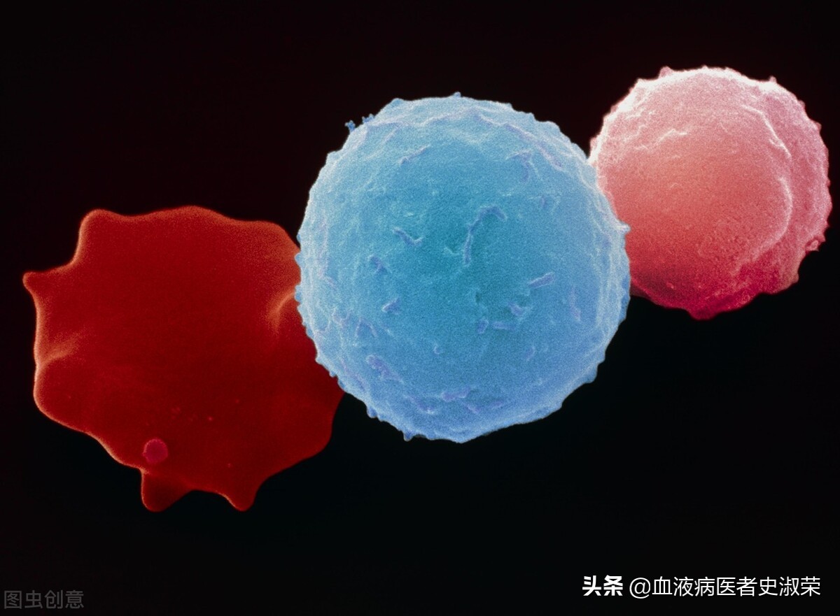 肺癌化疗后血小板减少是怎么了,化疗和放疗靶向造成血小板减少