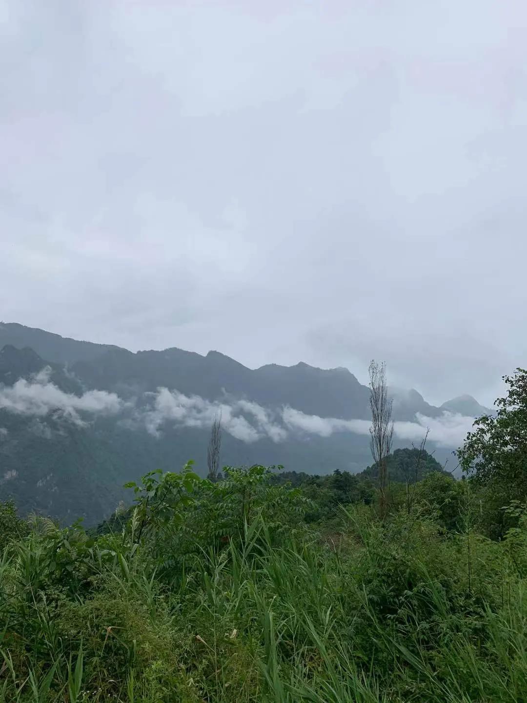 金太阳2024届高三数学试卷及答案,2022届金太阳高三联考数学试题