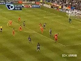 还记得马丁斯吗？那只在梅阿查和圣詹姆斯公园翱翔的雄鹰