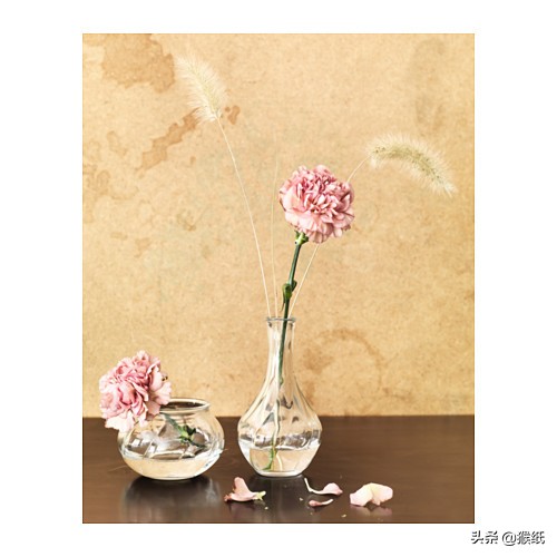 宜家ikea单品推荐,宜家最值得买的10件新品