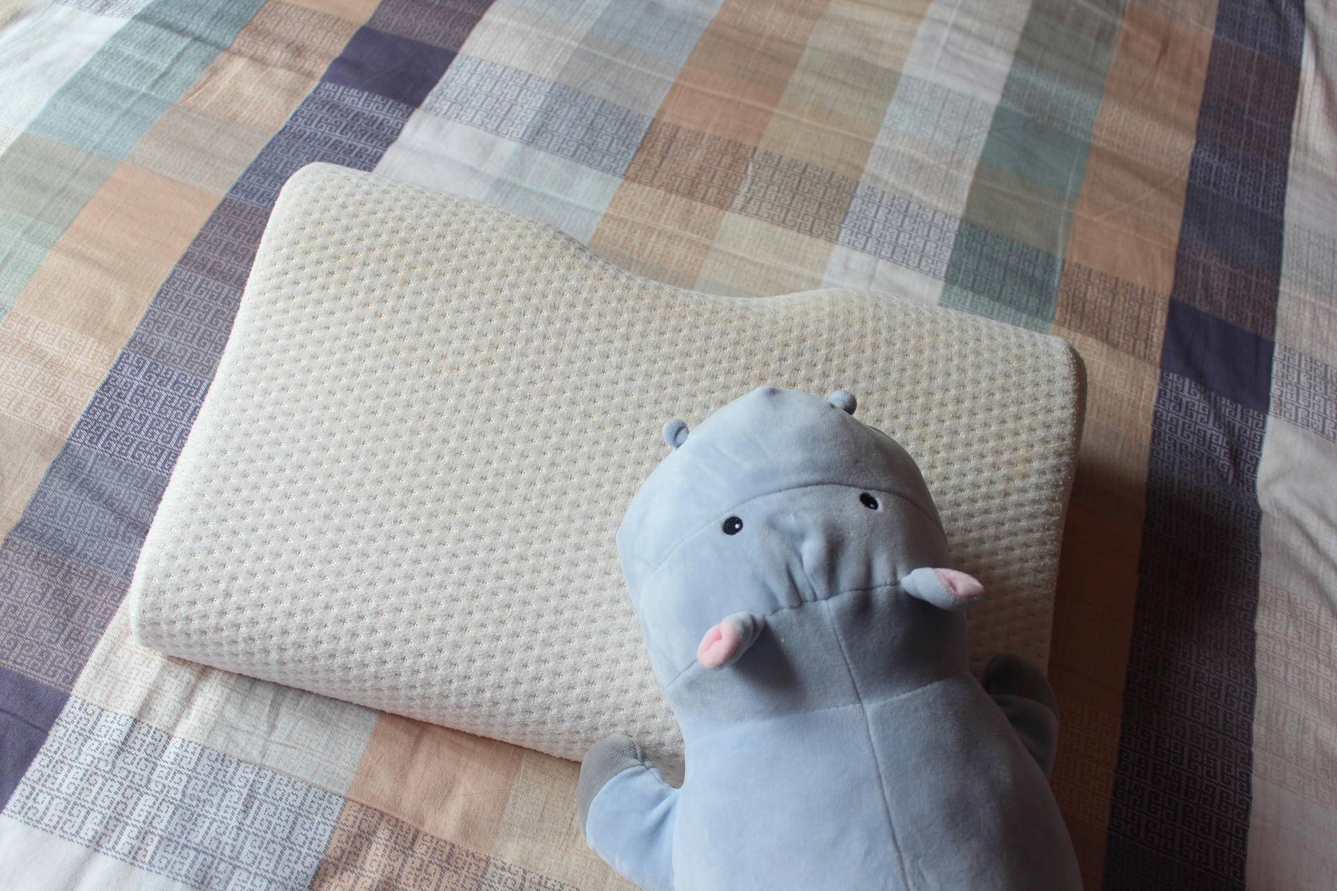 俗话说高枕无忧枕头是越高越好吗,枕头选什么材质的睡得舒服又健康