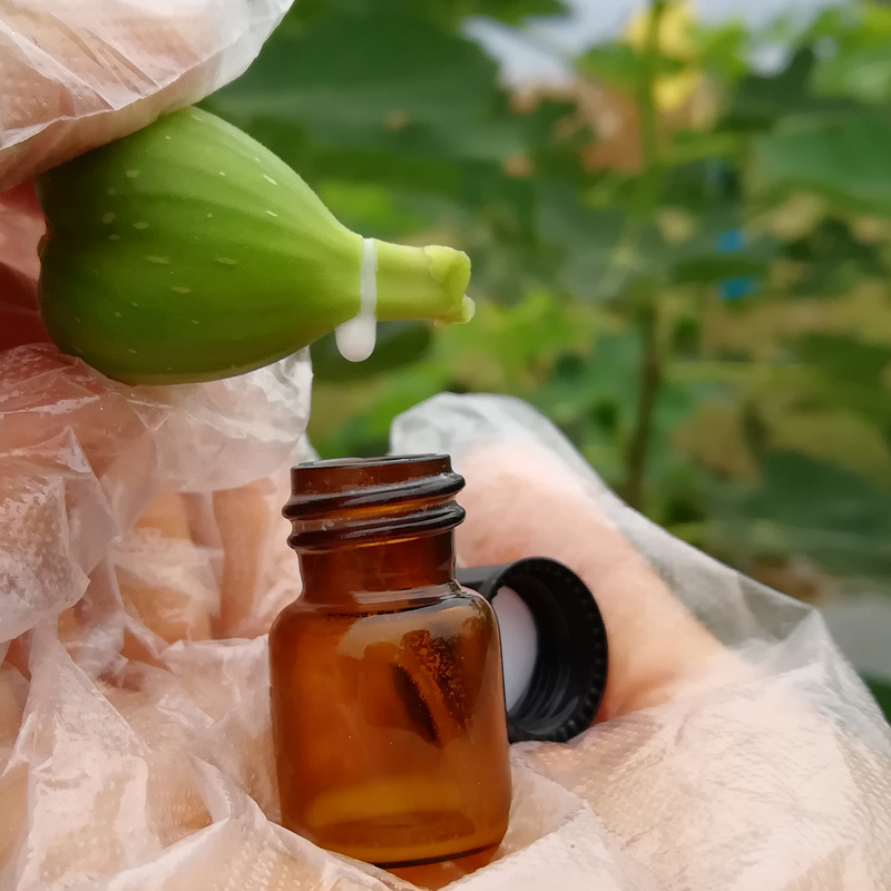 100种最毒的毒花,20种有毒的大毒花