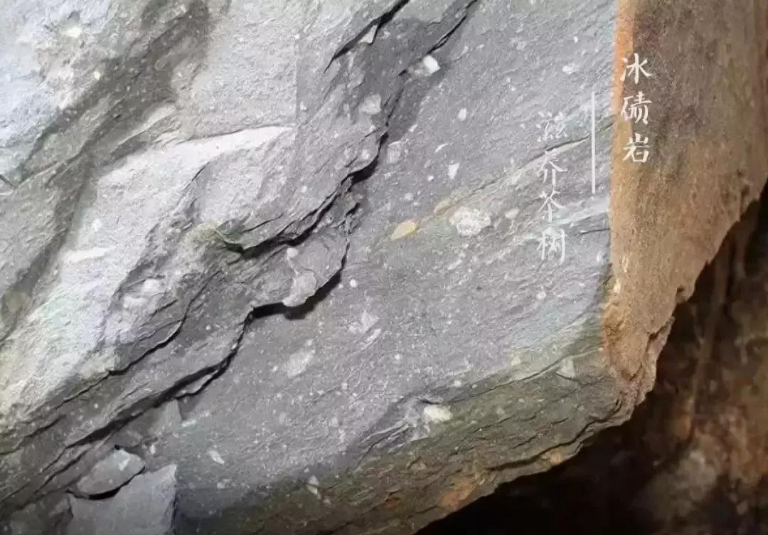 一个爱茶之人不能不去的地方,爱茶之人必去的九大茶区