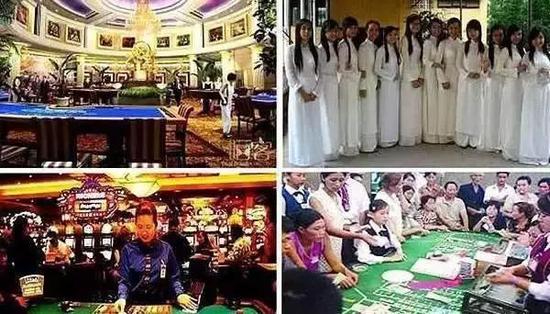 狼哥越南 (权哥带你了解越南)