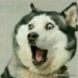 女人在生活中比较尴尬的问题,女人那些尴尬瞬间你遇到过吗