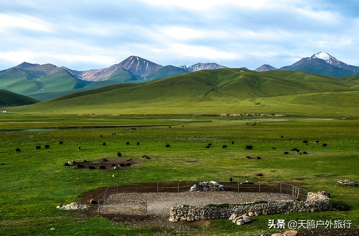 巴音布鲁克草原的特色,巴音布鲁克好吗