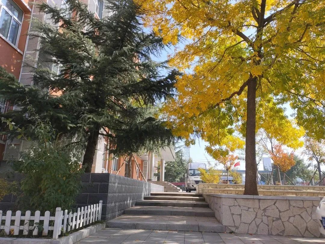 北京所有小学排名一览表,北京30所小学排名一览表