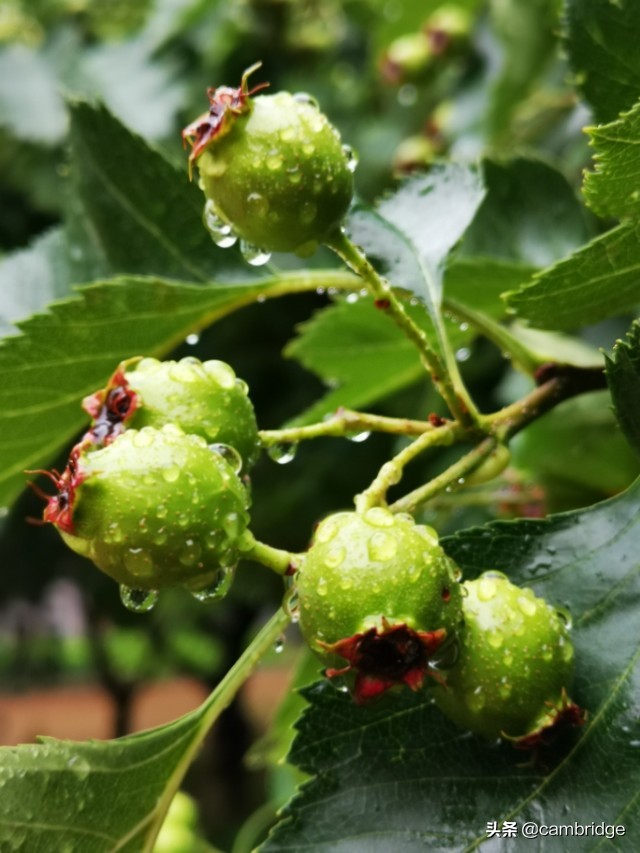 人教新目标英语九年级unit3课件,人教版新目标九年级英语14单元