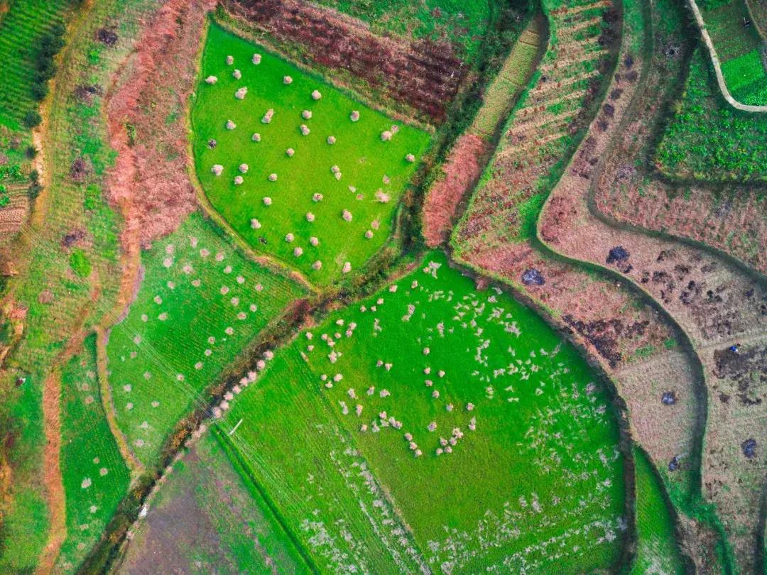 村庄规划编制是干什么,村庄规划编制流程