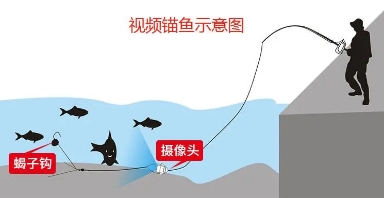 大快人心，“可视锚鱼”的*力暴**捕鱼方式，在长江被捕