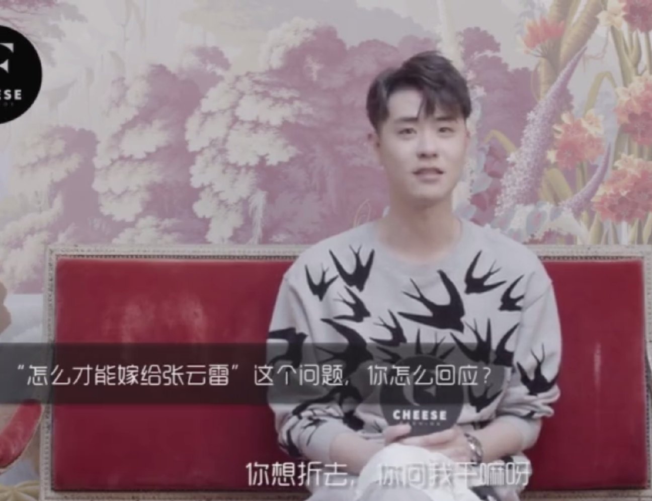 崩溃的小芝士，怎样才能嫁给张云雷看看他选女朋友标准，啥都靠抢