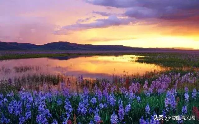 都市情感：大姑姐爱上了我前夫（二）