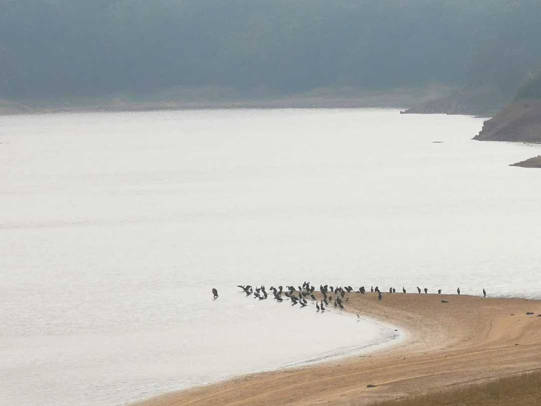 厦门市天竺山一日游,厦门天竺山攻略