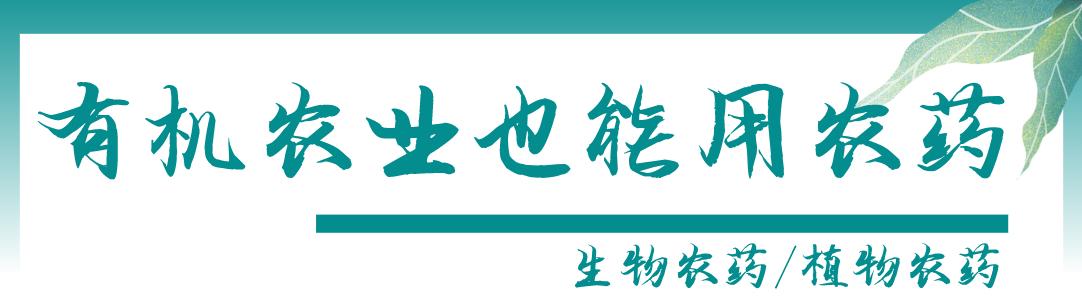 新农人搞种植要记住这几点忠告,绿色农业怎么预防病虫害