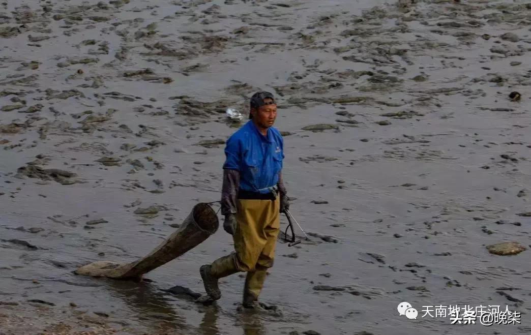 大连庄河赶海排名第一名,庄河赶海网红视频