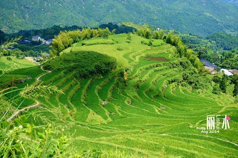 比乌镇安静比南浔古朴,藏不住了这里有最炫秋色
