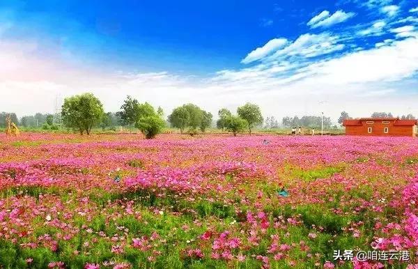 兴奋！连云港又有一波民生好消息传来，涉养老金、公积金、教育等