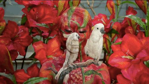 她在画画,神奇的视觉错觉画画