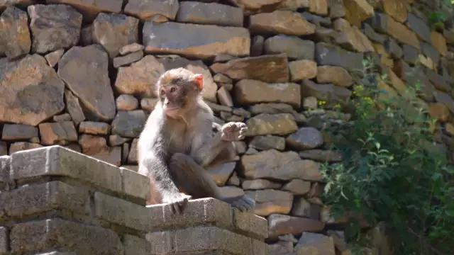 长治通天峡景区怎么去,长治旅游集散中心旅游线路