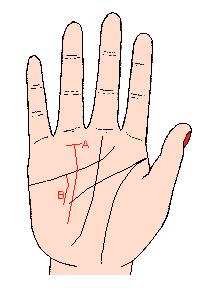 手相解密,手相掌纹分析学