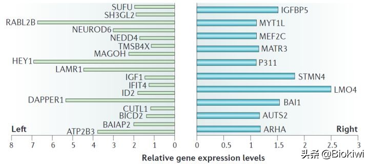招财猫是是左撇子还是右撇子？