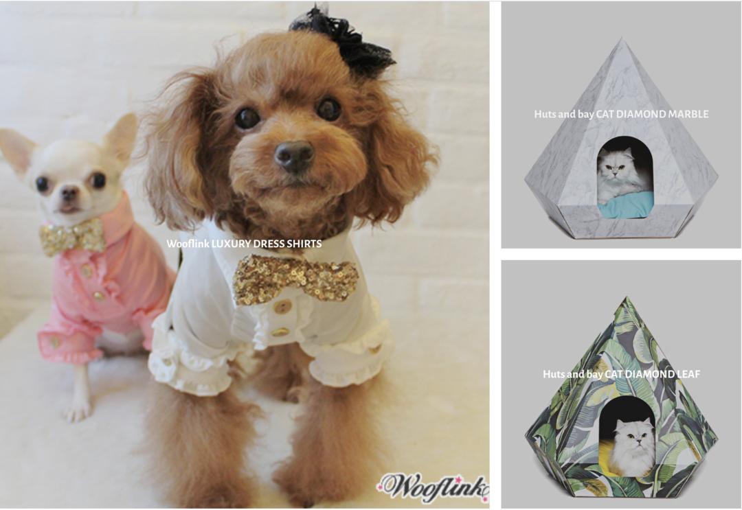 瀹犵墿绀剧兢钀ラ攢瑁傚彉浼氬憳,瀹犵墿绀剧兢钀ラ攢