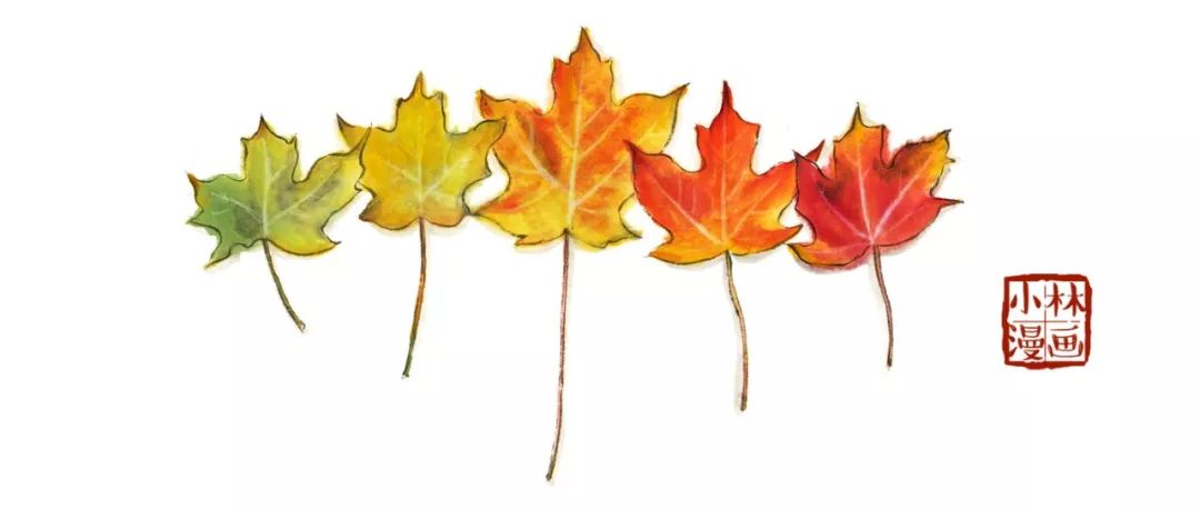 小林｜常恐秋风早，飘零君不知