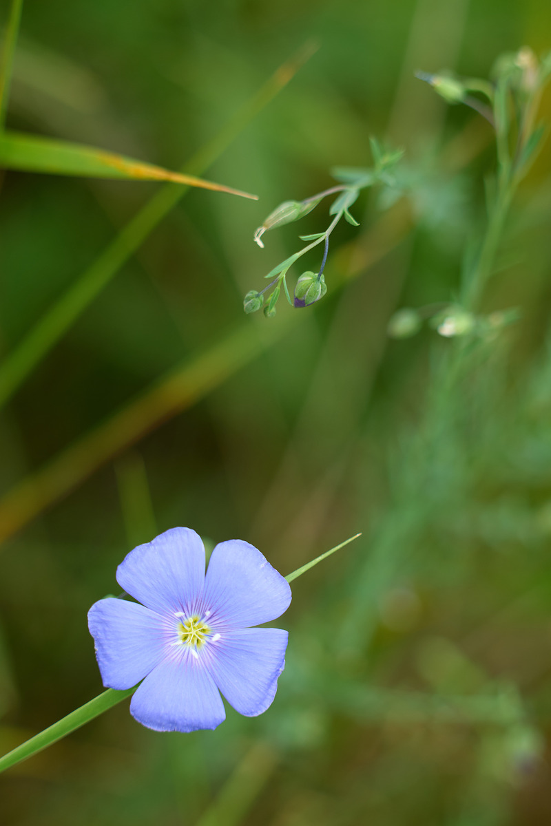 适马sigma60-600mm拍月亮,适马sigma18-50mmf2.8dcdn测评