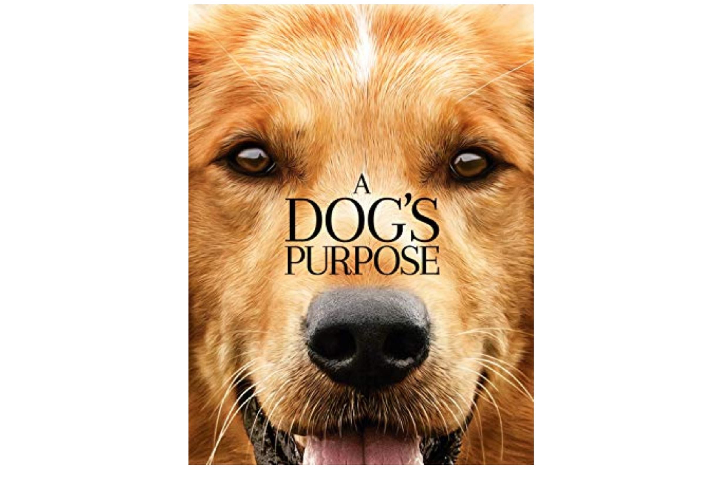 10部好看的女特工电影,10部好看的缉毒电影