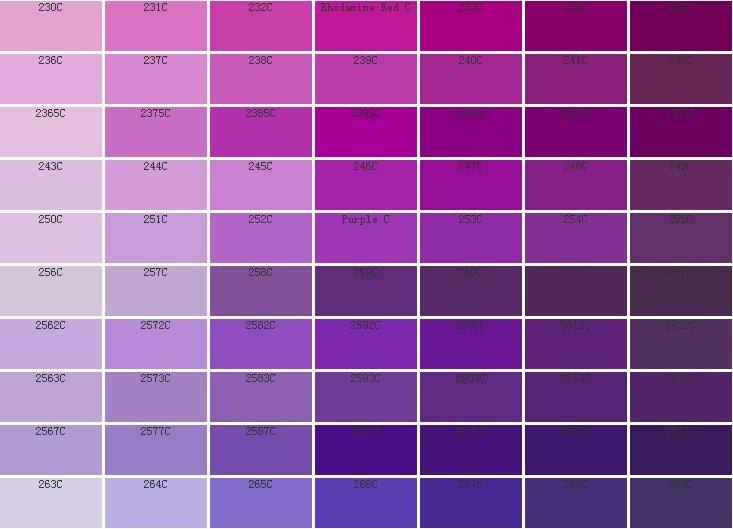 紫色干货,什么紫显白又百搭