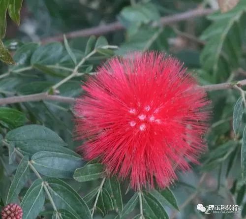 环境工程就业方向及前景,环境工程就业难吗