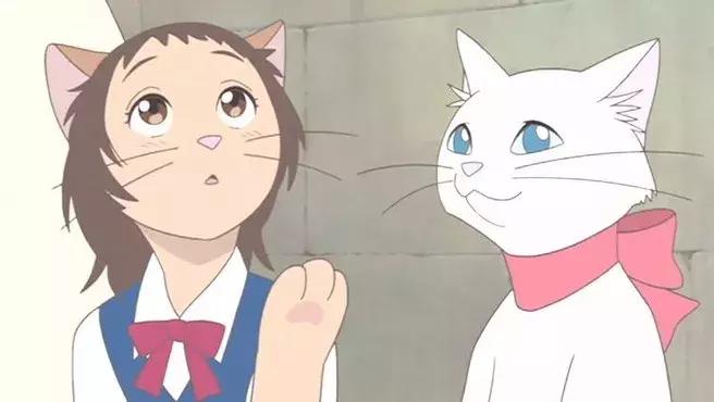 再见蜡笔小新,柯南蜡笔小新版