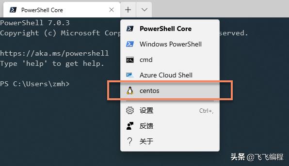 wsl2.0.0,centos8搭建nginx服务器