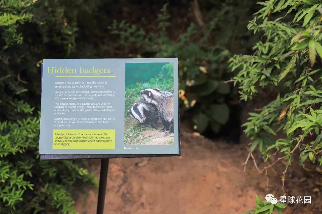 二木带你游花园|邱园（kewgarden）离我们到底有多远？