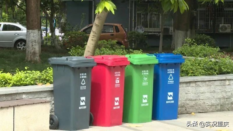 每层楼不能设置垃圾桶,每幢楼下不能放垃圾桶