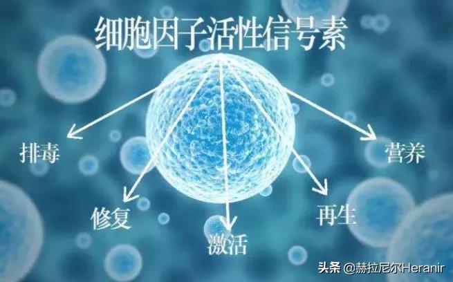 大牌护肤品都含有什么,多肽护肤有什么作用