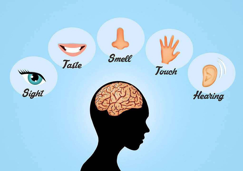 探秘泛亚：昂科旗的五星空气质量是如何实现的？