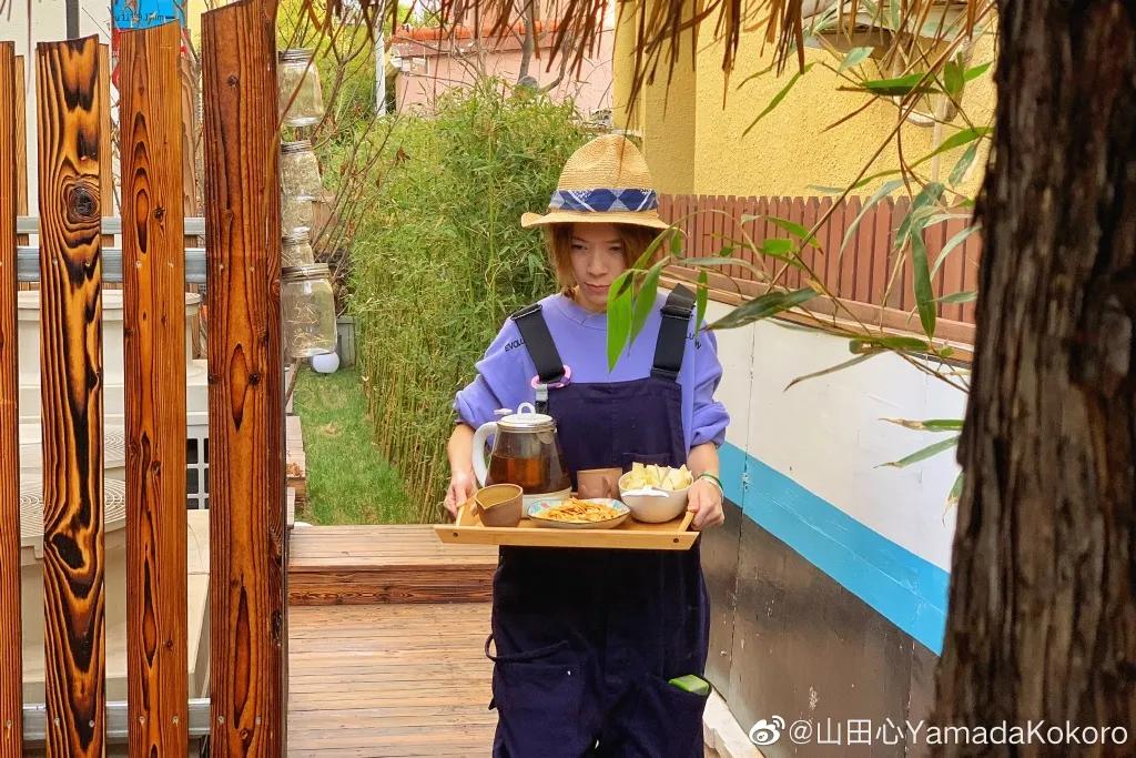 城市版的李子柒,李子柒真实的豪宅变化